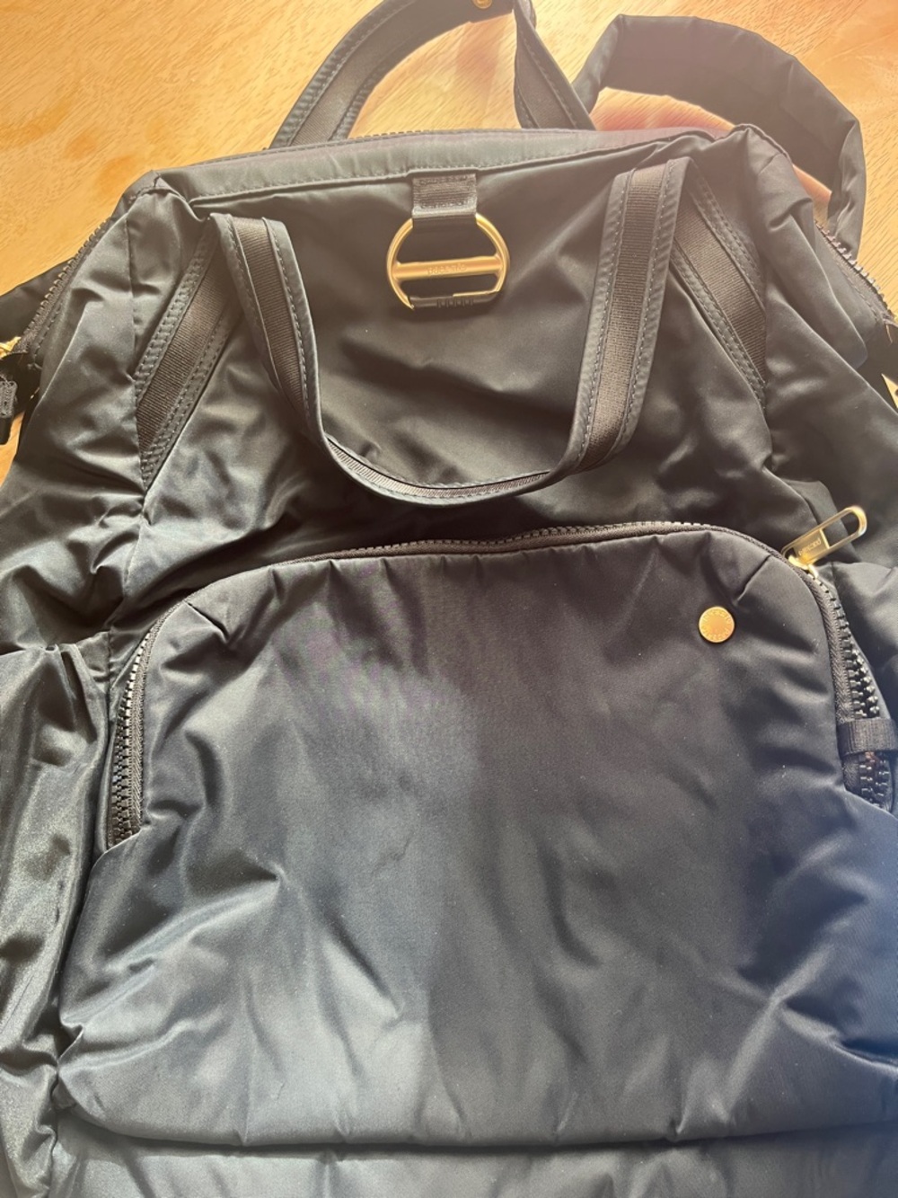 Pac Safe Black Backpack